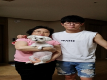 청년성도