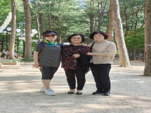 남이섬소풍